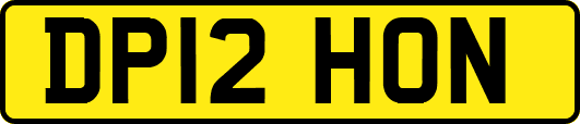 DP12HON