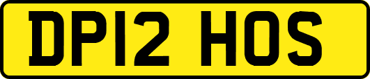DP12HOS