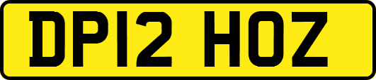 DP12HOZ