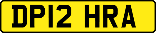 DP12HRA
