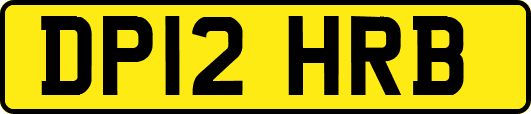 DP12HRB