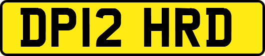 DP12HRD