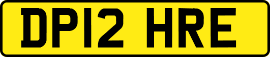 DP12HRE