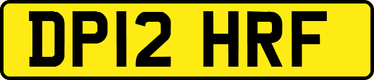 DP12HRF