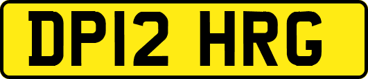DP12HRG