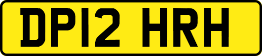 DP12HRH