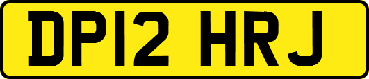 DP12HRJ