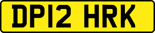 DP12HRK