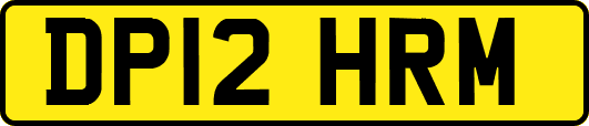 DP12HRM