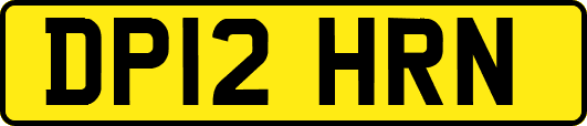 DP12HRN
