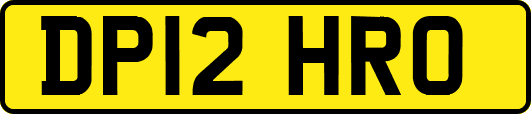 DP12HRO
