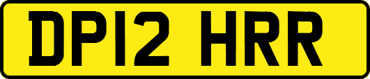 DP12HRR