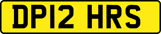 DP12HRS