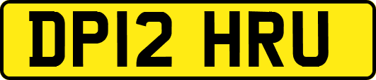 DP12HRU