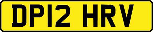 DP12HRV