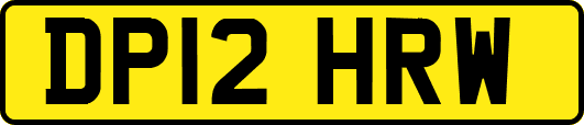 DP12HRW