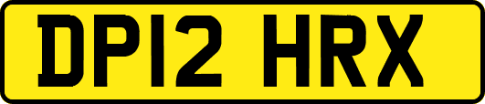 DP12HRX