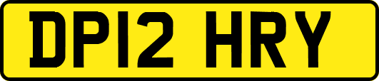 DP12HRY