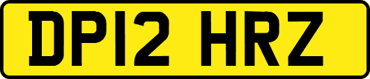 DP12HRZ