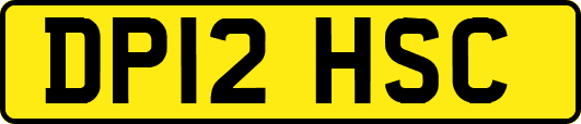 DP12HSC