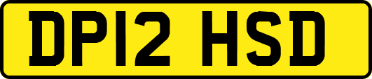 DP12HSD