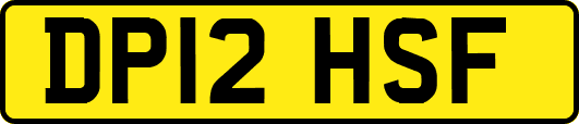 DP12HSF