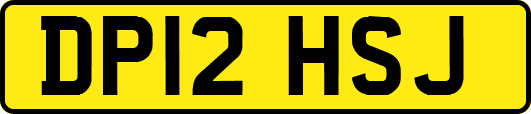DP12HSJ