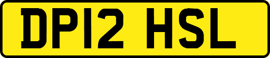 DP12HSL