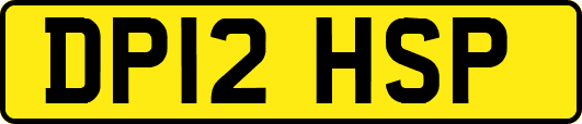 DP12HSP