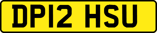 DP12HSU