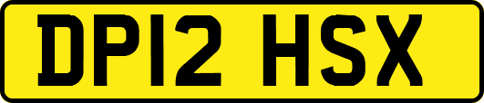 DP12HSX