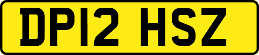 DP12HSZ
