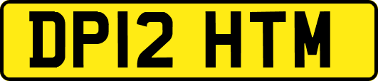 DP12HTM