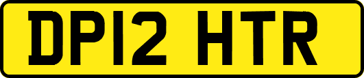 DP12HTR