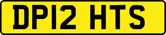 DP12HTS