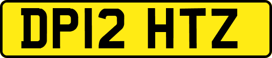 DP12HTZ