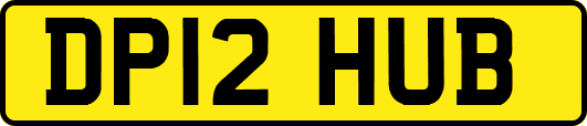 DP12HUB