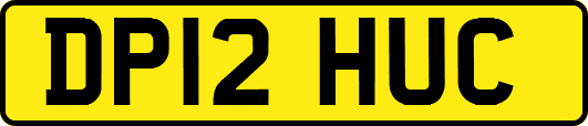 DP12HUC