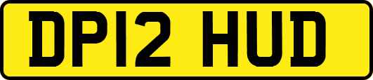 DP12HUD