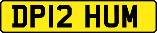 DP12HUM