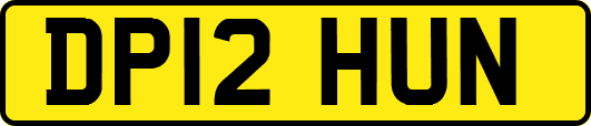 DP12HUN