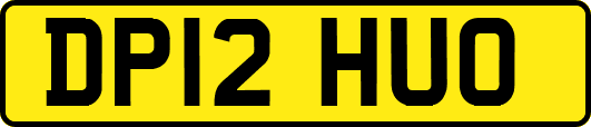 DP12HUO