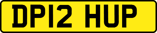 DP12HUP