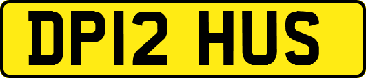 DP12HUS
