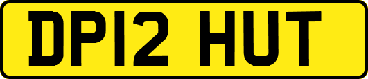 DP12HUT