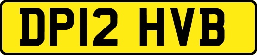 DP12HVB