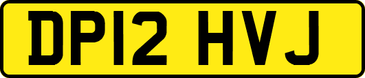 DP12HVJ
