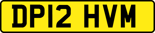 DP12HVM