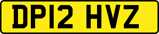 DP12HVZ