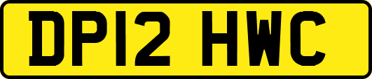 DP12HWC